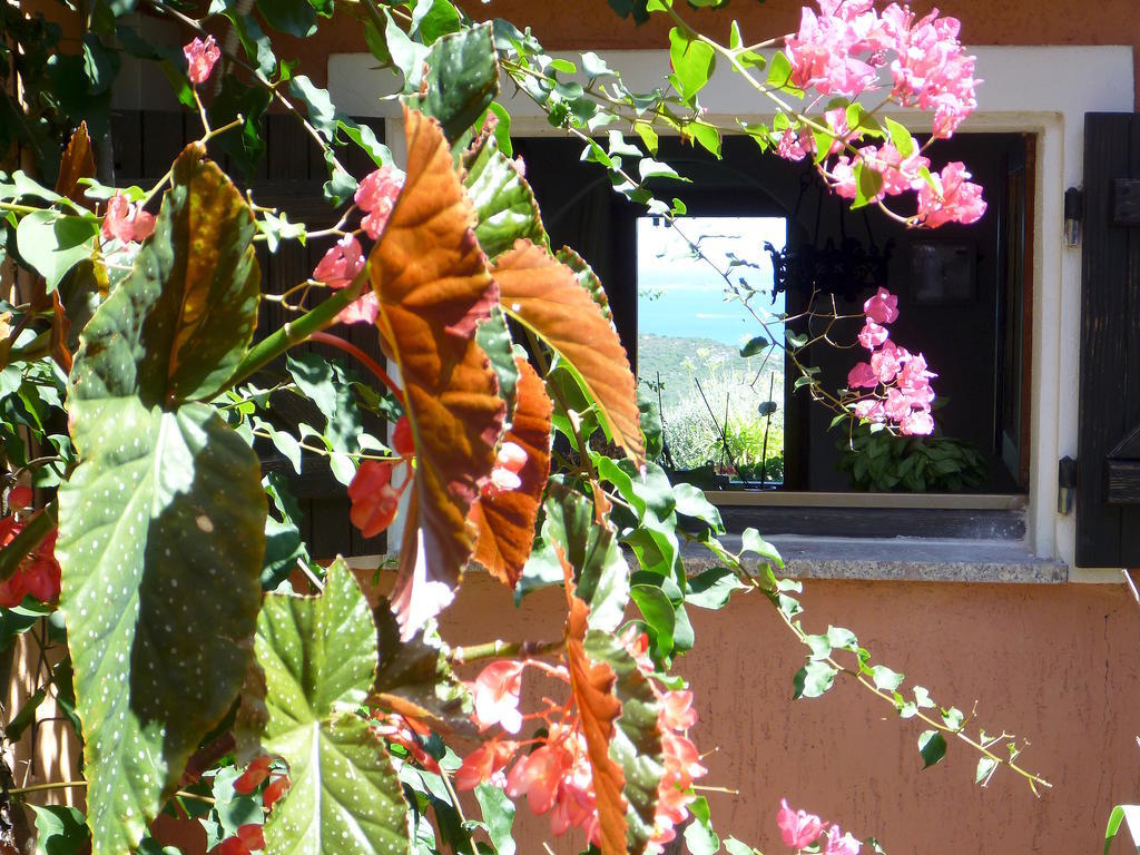 B&B Luna Ruja Cannigione Esterno foto